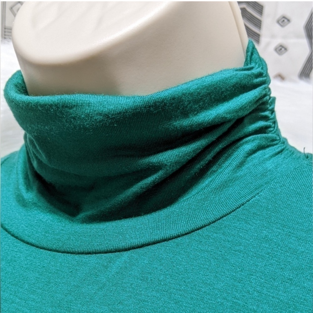 STYLE & Co. Women’s Mock Neck Turtleneck Long Sleeve Top Shirt Green Size PM - Picture 2 of 10